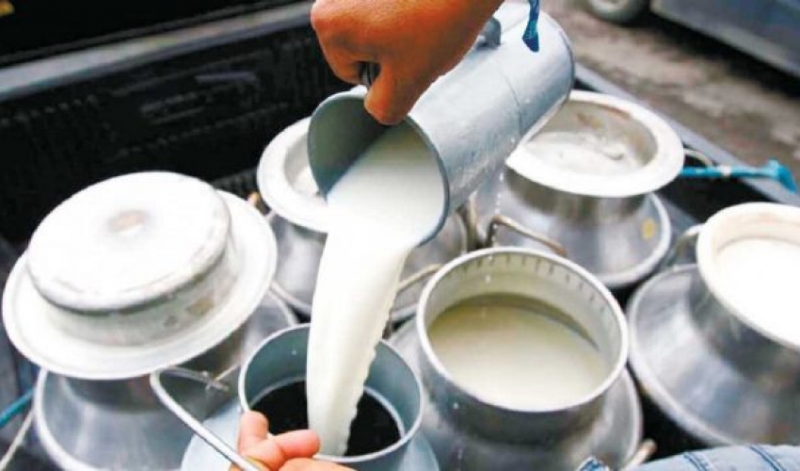 निषेधाज्ञामा दूध बेच्न कठीन