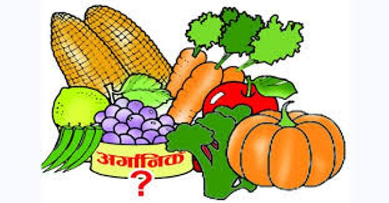 रासायनिक उत्पादनसँग अर्गानिक उत्पादनलाई प्रतिस्पर्धा गर्नै मुस्किल