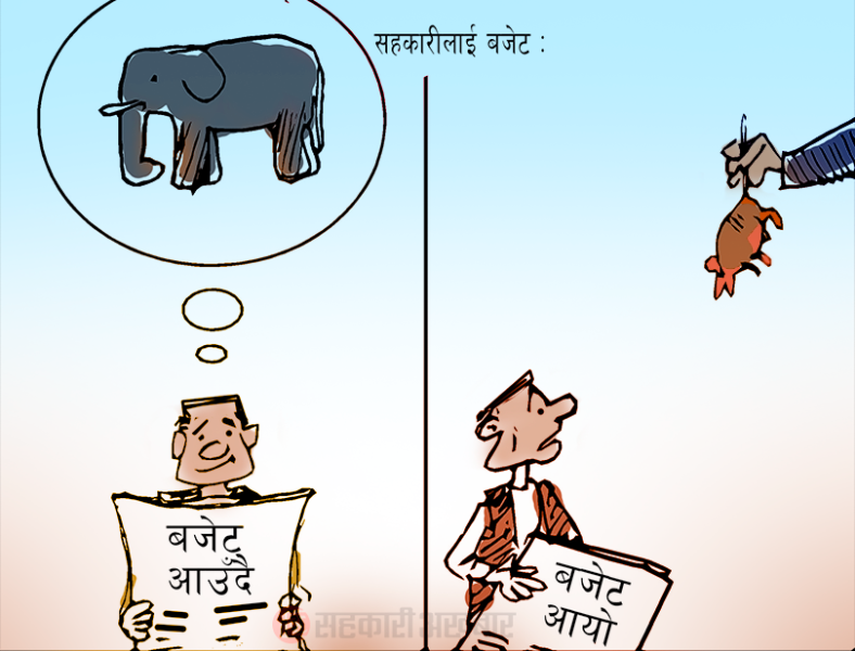 बजेट : सहकारीकालागि हात्ति आयो हात्ति आयो फुस्सा